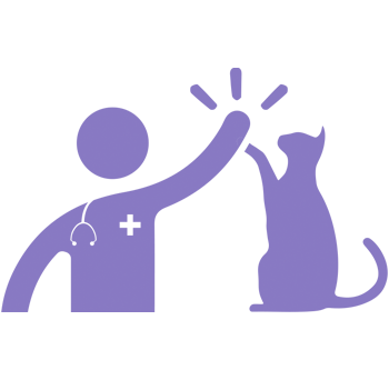 Soft Claws Purple Cat Nail Caps